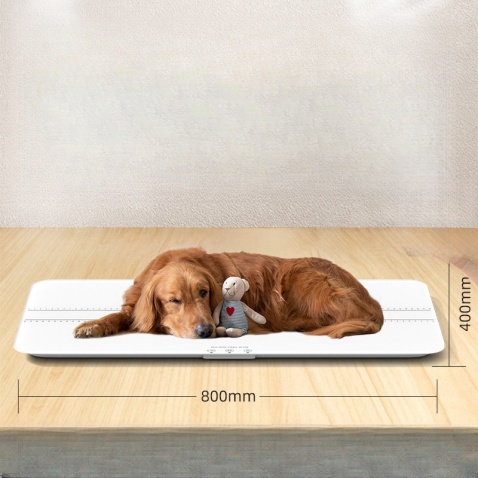 Veterinary Weight Scale