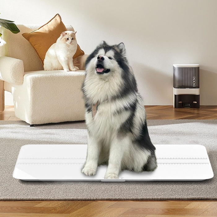 Veterinary Weight Scale