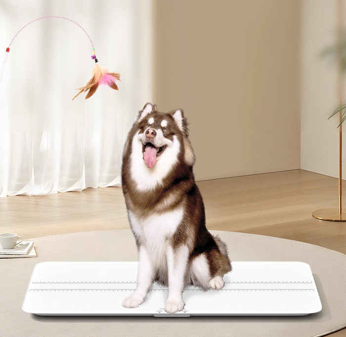 Dog Weight Scale