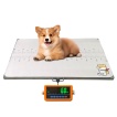 Dog Weight Scale