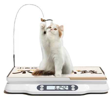 Animal Weight Scale