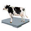 Wireless Veterinary Scale