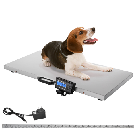 Stainless Steel Veterinary Weight Scale
