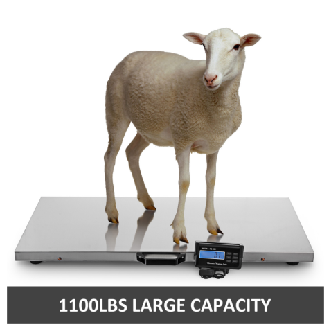 Stainless Steel Veterinary Weight Scale