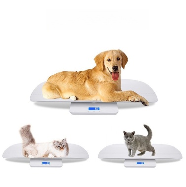 Veterinary Hospital Scale