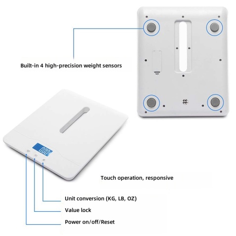 Veterinary Hospital Scale