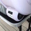 Veterinary Clinic Incubator