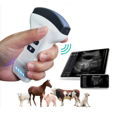 Handheld Portable Veterinary Ultrasound Machine