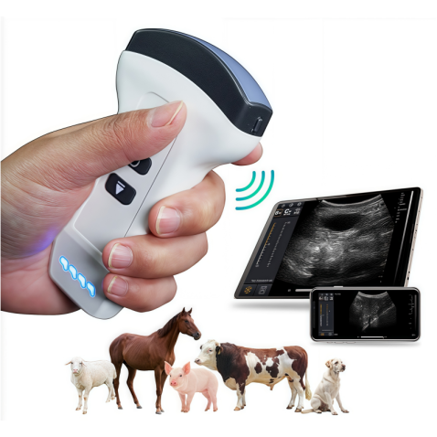 Handheld Portable Veterinary Ultrasound Machine