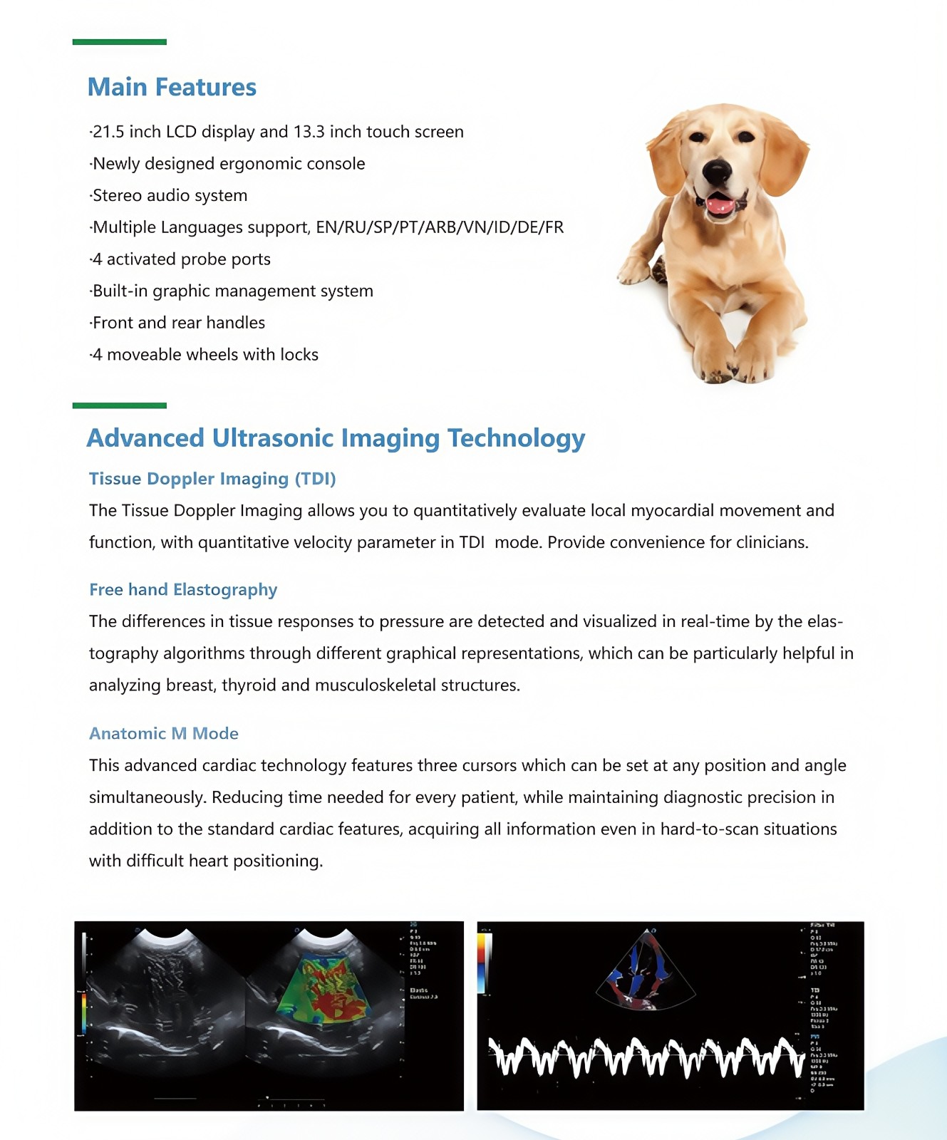 Color Doppler Veterinary Ultrasound Machine