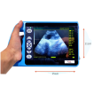 Veterinary Ultrasound Equipment