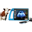 Veterinary Ultrasound Equipment
