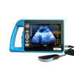 Veterinary Ultrasound Equipment