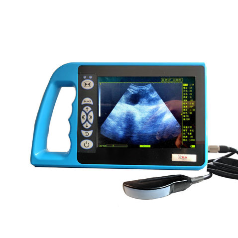 Veterinary Ultrasound Equipment