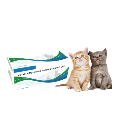 Veterinary Mycoplasma Antigen Rapid Test Card
