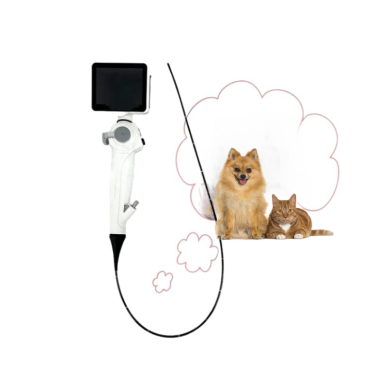 Veterinary Flexible Endoscope