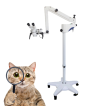 Veterinary Eye Surgical Microscope