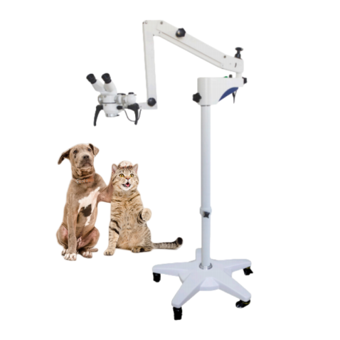 Veterinary Eye Surgical Microscope
