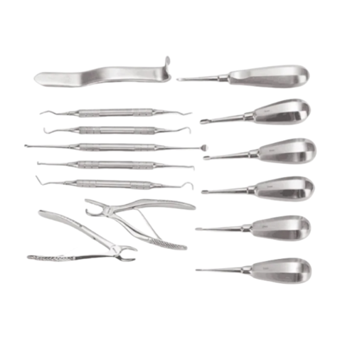 Veterinary Surgery Set