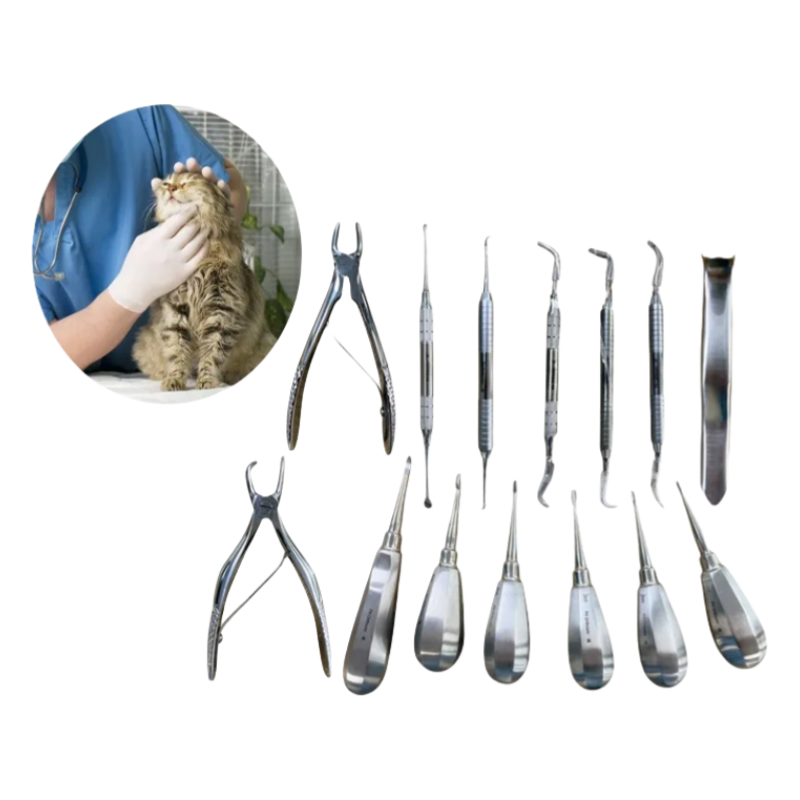 Veterinary Surgical Kit
