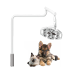 Veterinary Surgical Light