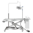 Veterinary Surgical Light