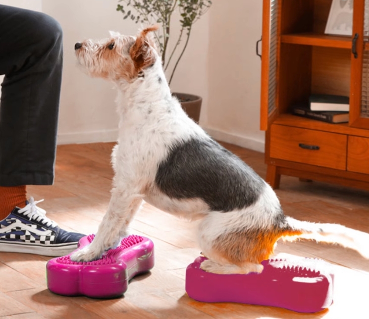 Dog Balance Training Platform Bone