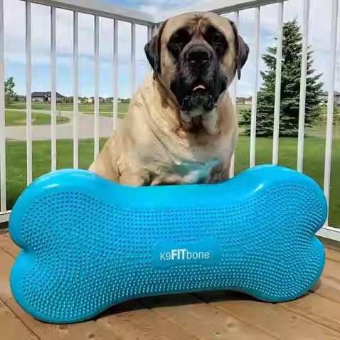 Dog Balance Training Platform Bone