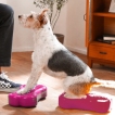 Dog Balance Training Platform Bone