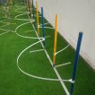 Dog Agility Weave Poles