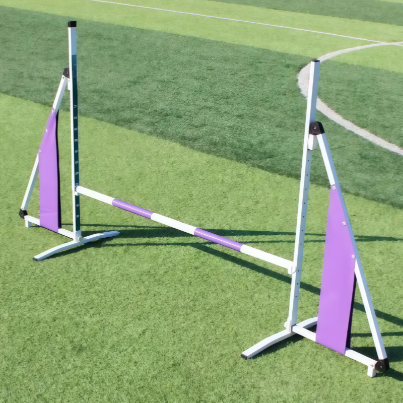 Dog Agility Jump