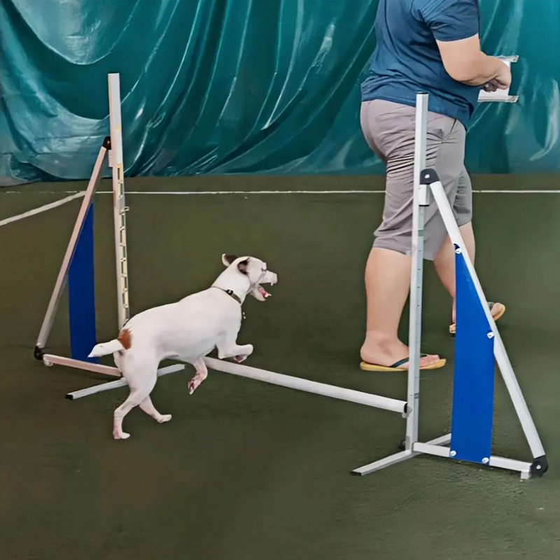 small dog hurdle