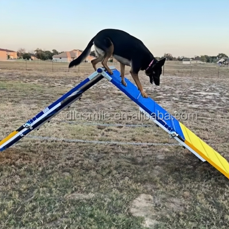 Dog Agility Training Equipment A-Frame