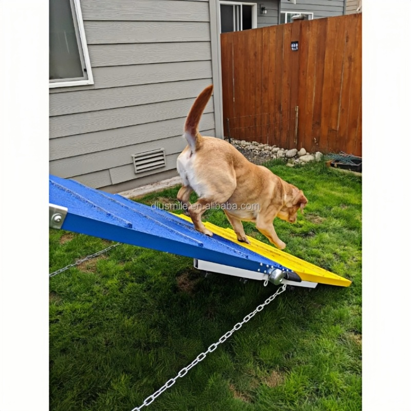 Dog Agility Training Equipment A-Frame