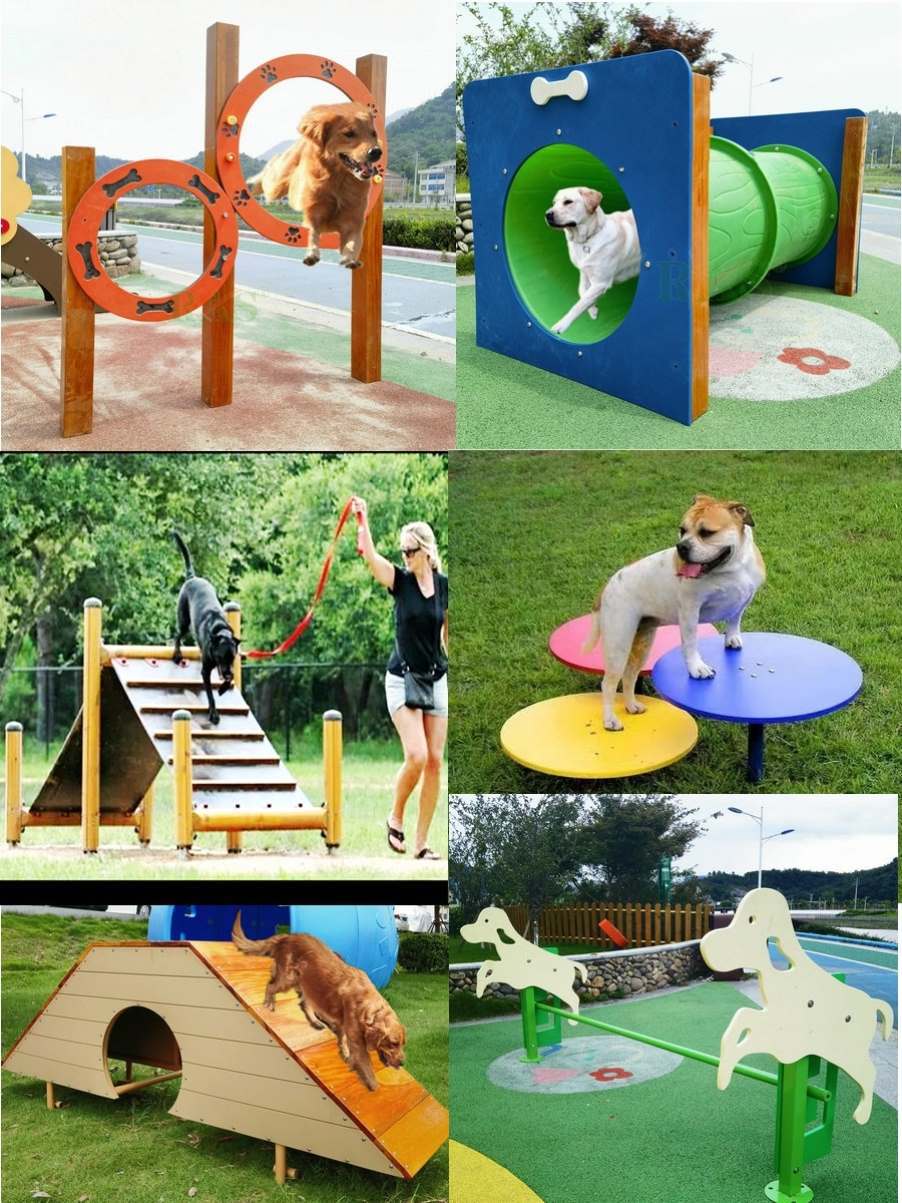 Dog Agility A-frame