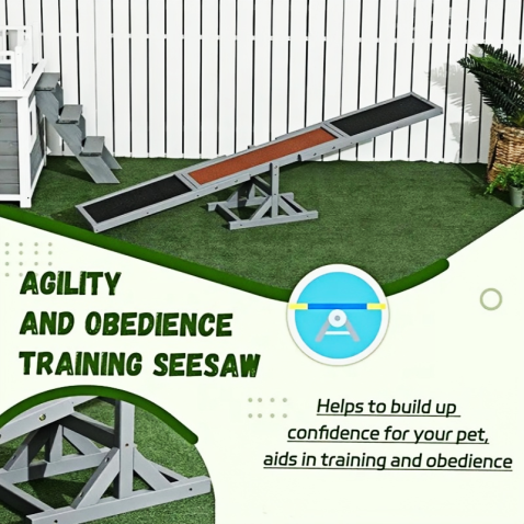 Dog Agility Training Teeter Totter