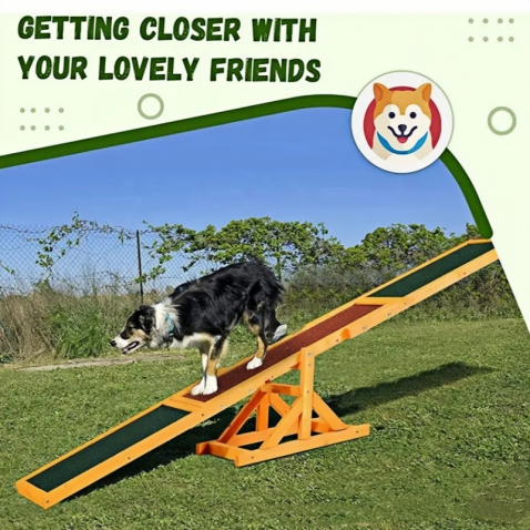 Dog Agility Training Teeter Totter
