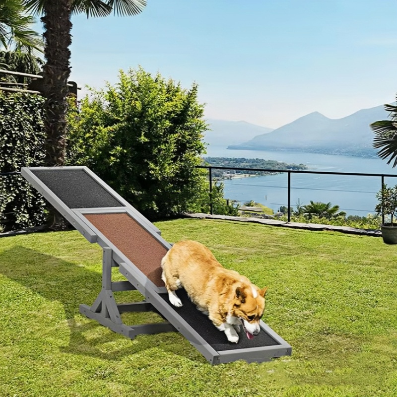 Dog Agility Training Teeter Totter
