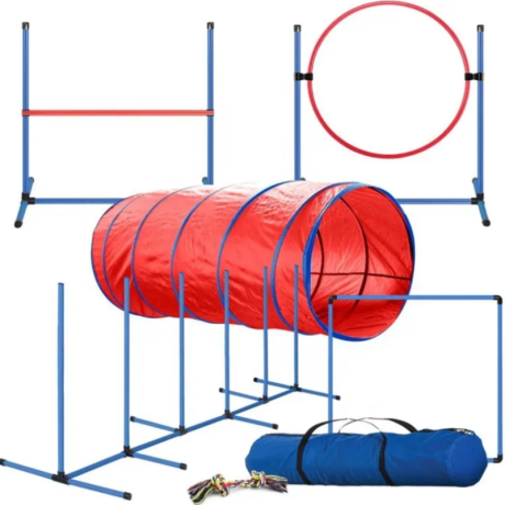 Dog Agility Set