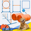 Dog Agility Set