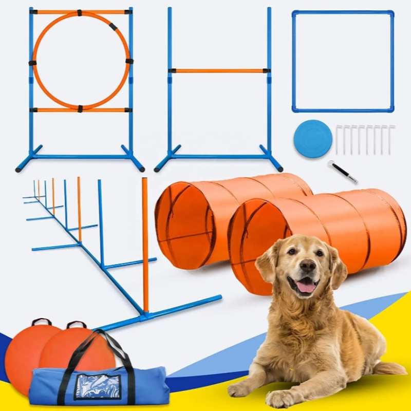 dog agility set