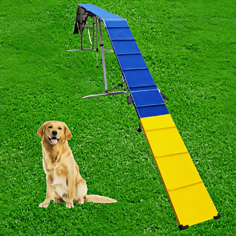 DOG WALK