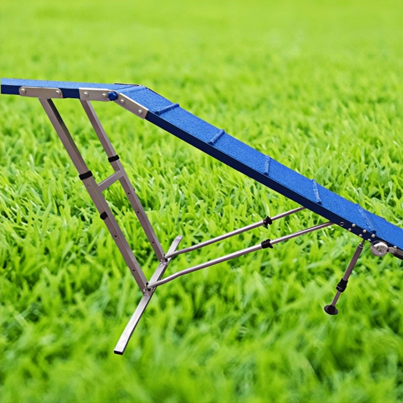 Dog agility training equipment DOG WALK