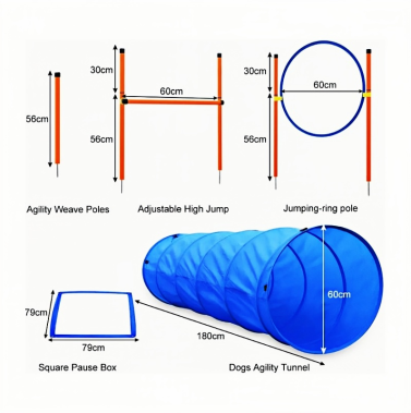 Dog Agility Kit