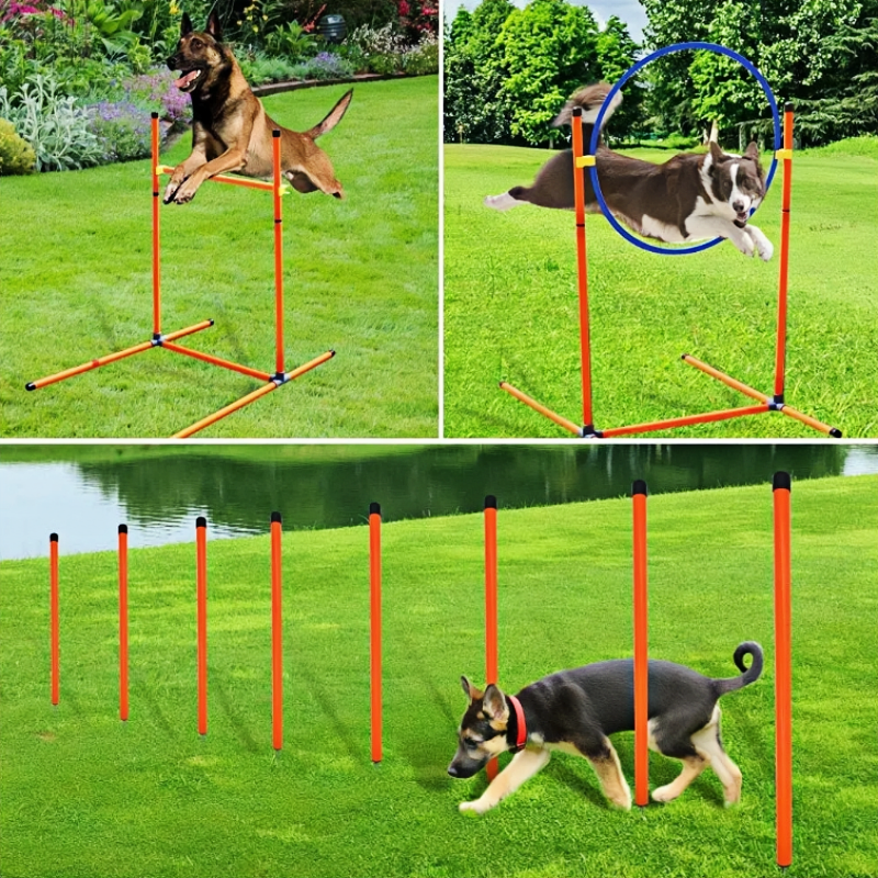 Dog Agility Kit