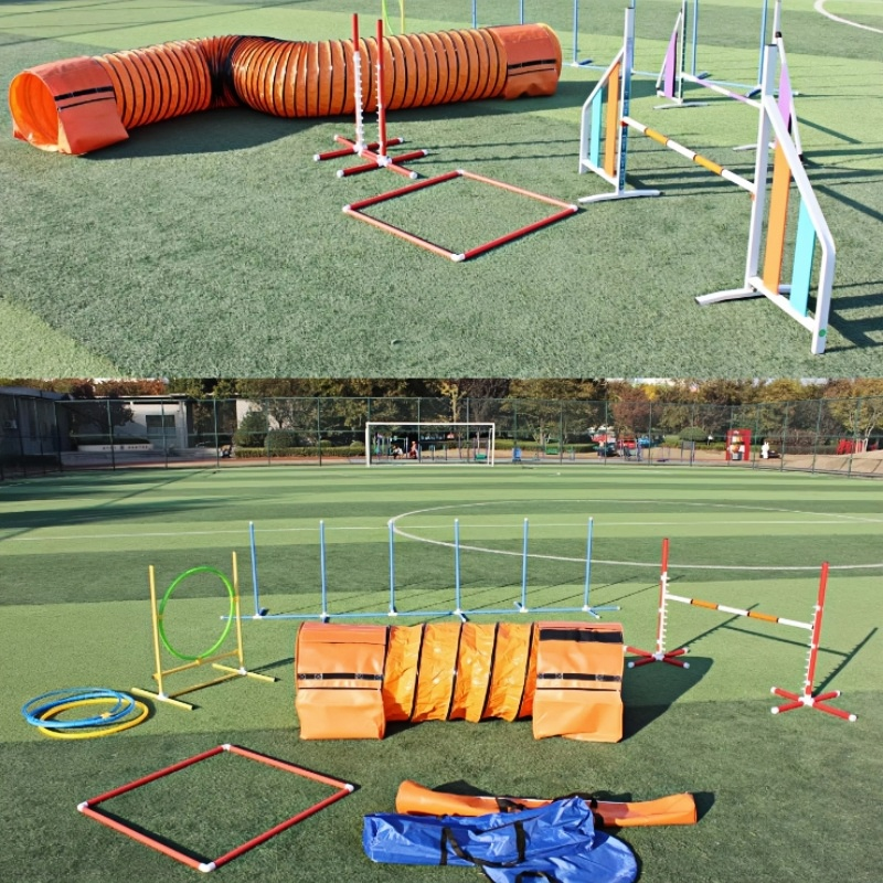 Dog Agility Training Tunnel
