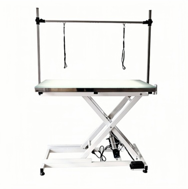 Electric Lift Dog Grooming Table