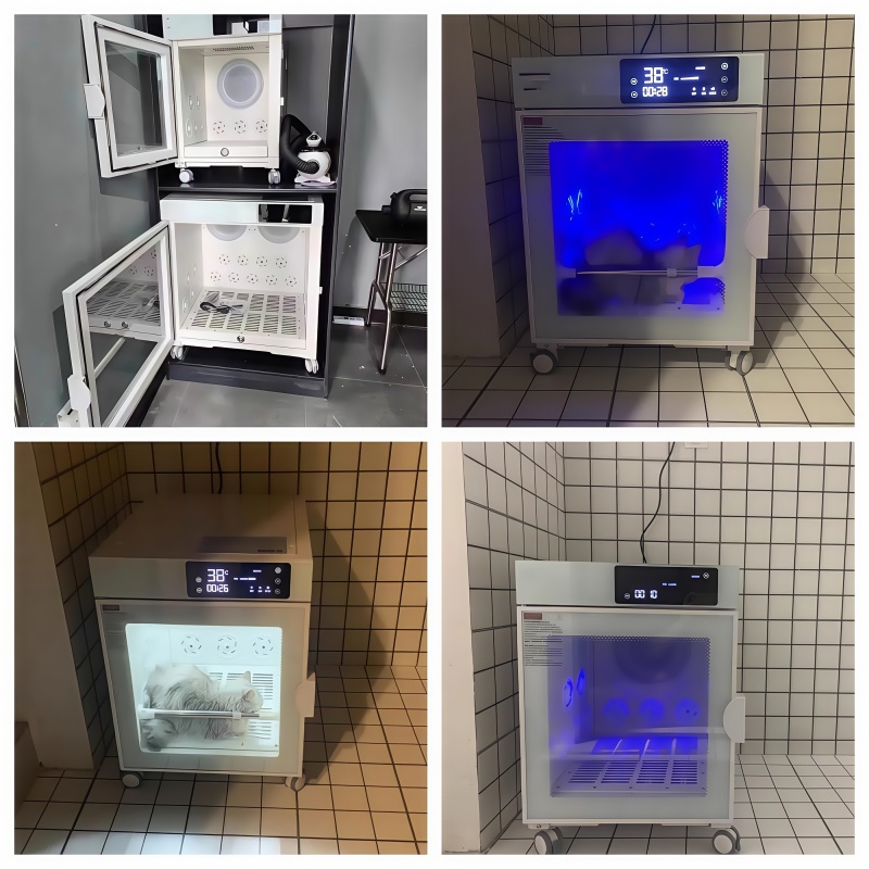 pet grooming equipment