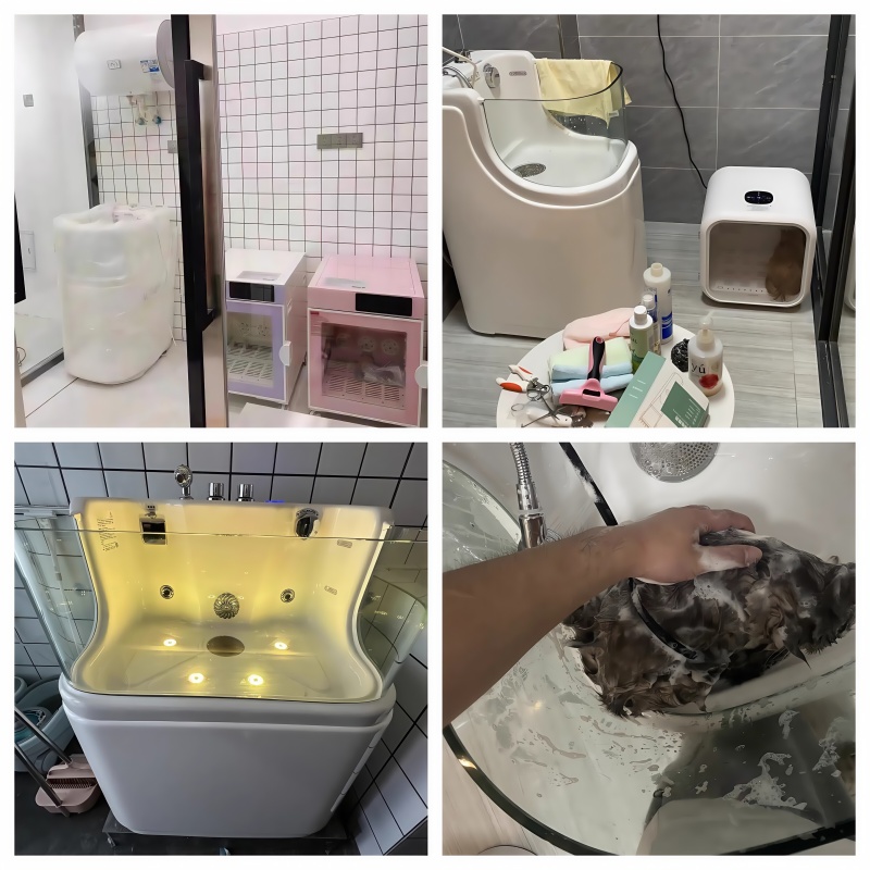 pet grooming equipment