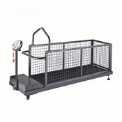 Dog's Fitness with USMILEPET's Dog Treadmill